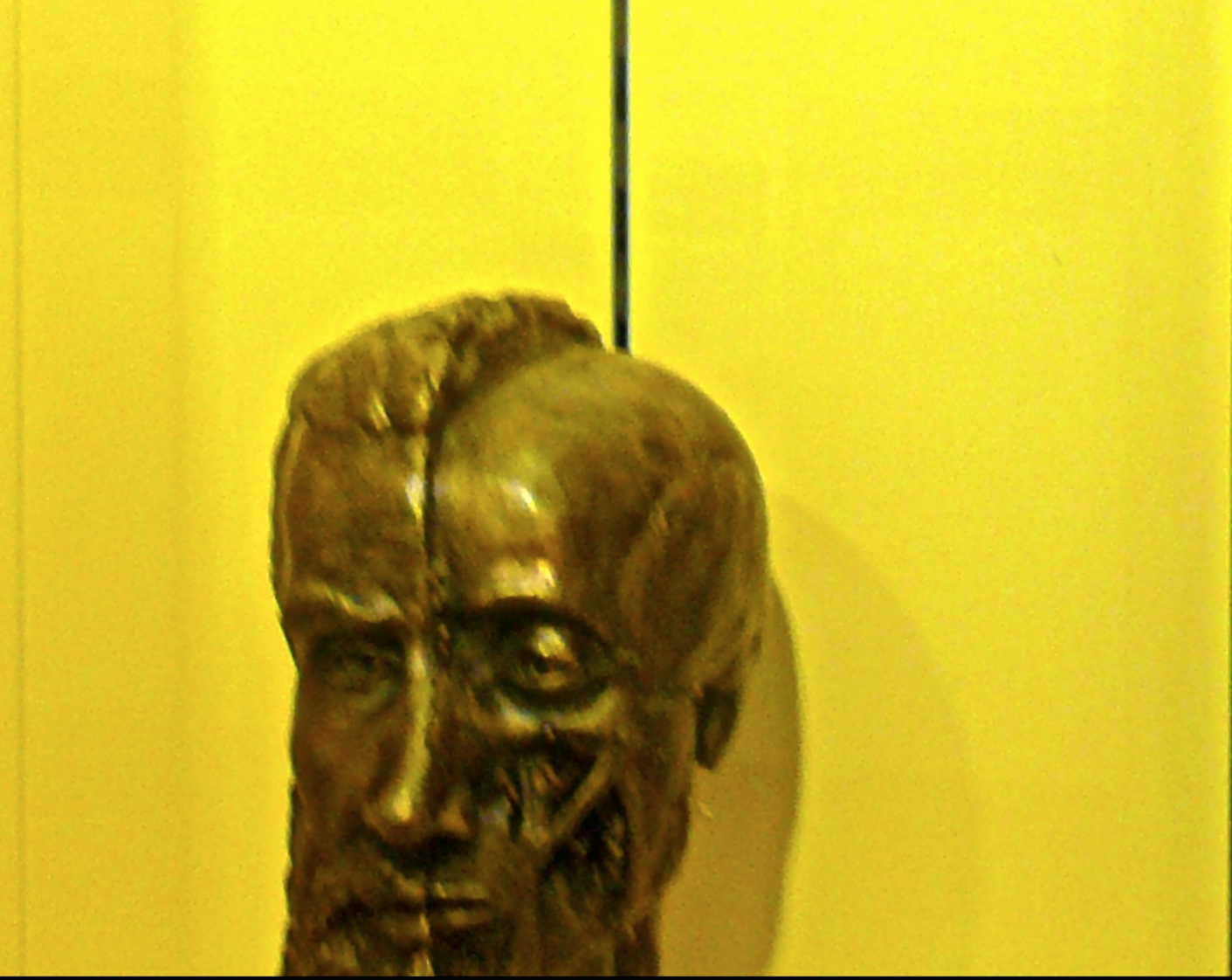 Bronze-Büste von Andreas Vesalius 1.jpg